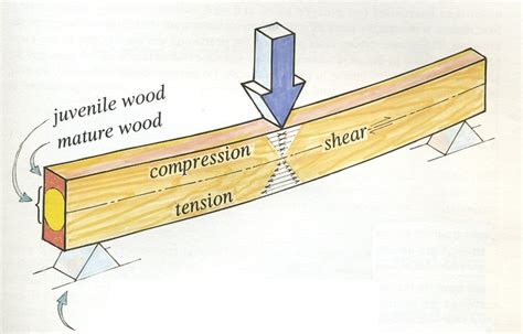 Wood Industry Guide for Material Testin